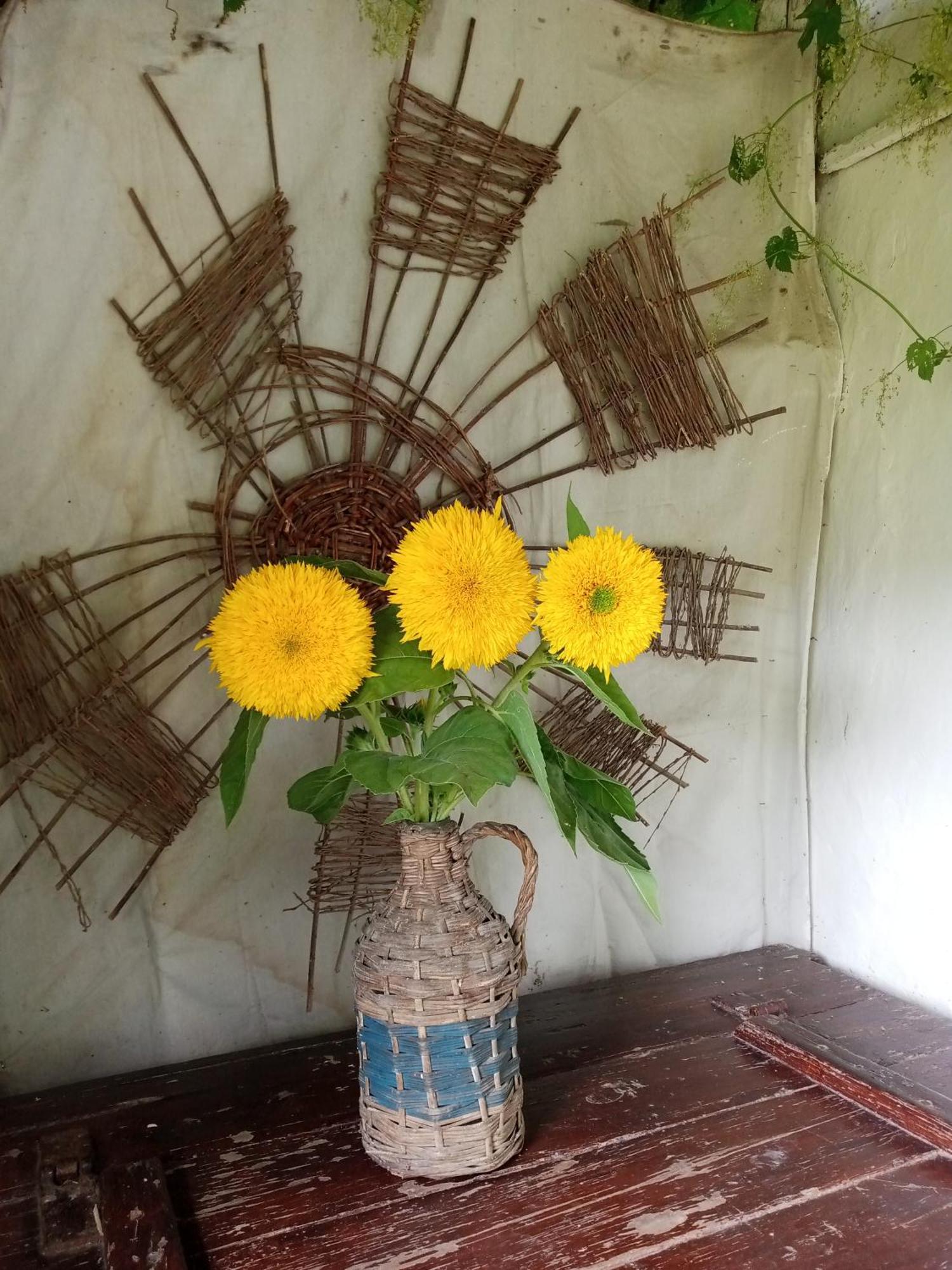 Holiday home Дибинецькі Карпати Dybintsy