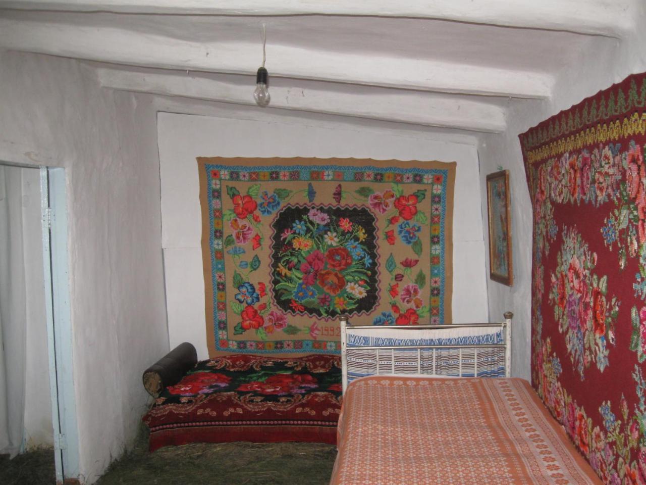 Holiday home Дибинецькі Карпати
