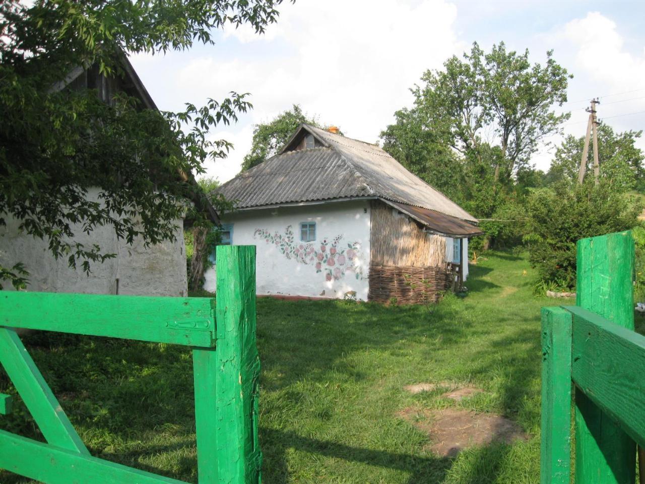 Дибинецькі Карпати Holiday home Dybintsy