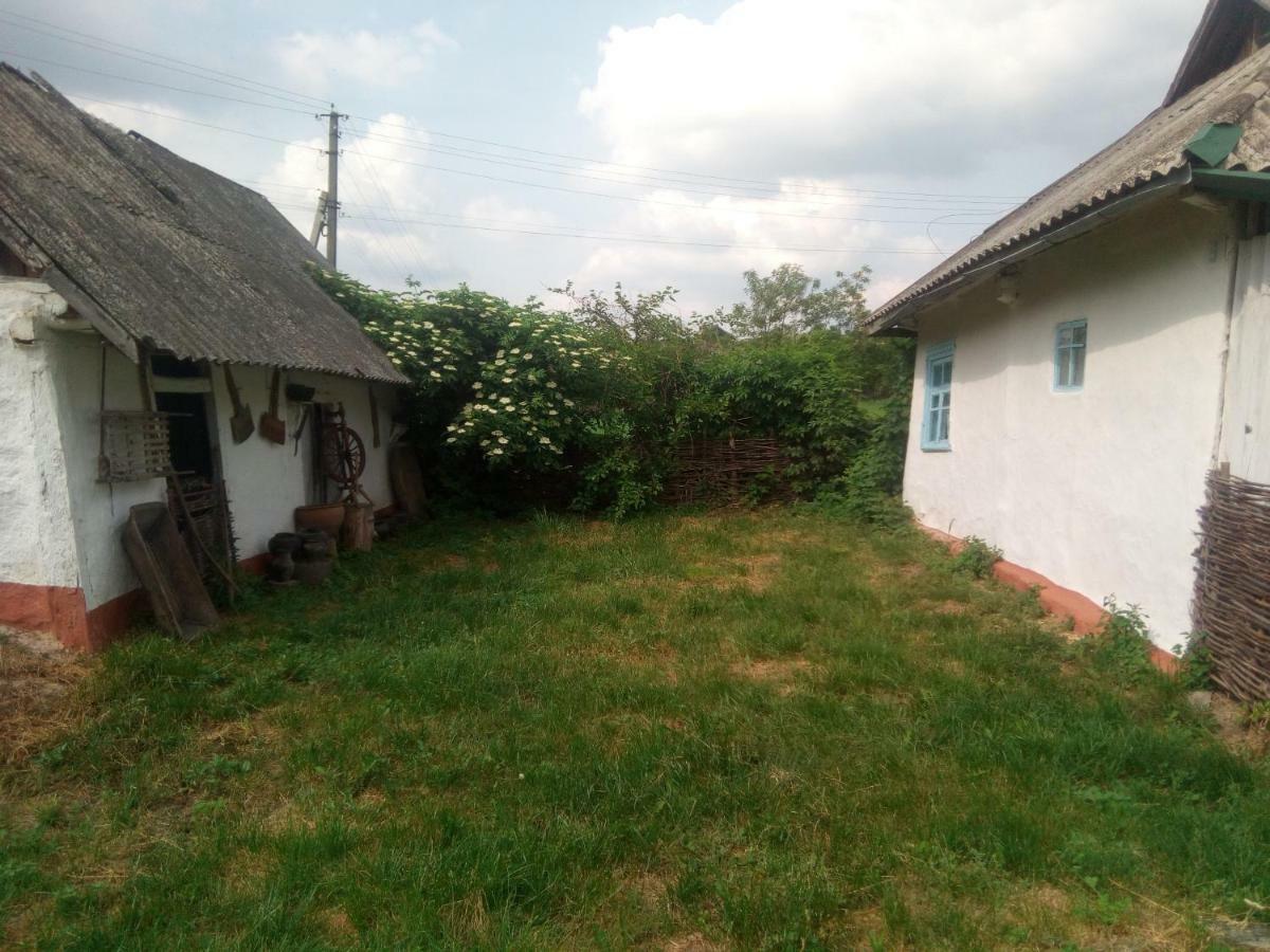Holiday home Дибинецькі Карпати