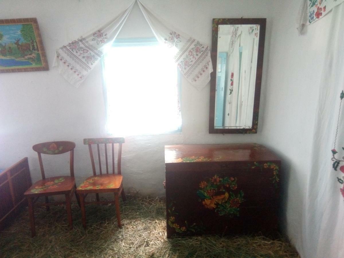 Holiday home Дибинецькі Карпати Dybintsy