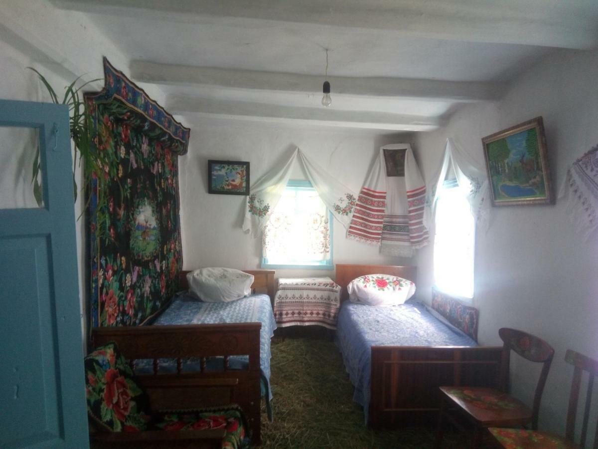 Дибинецькі Карпати Holiday home Dybintsy