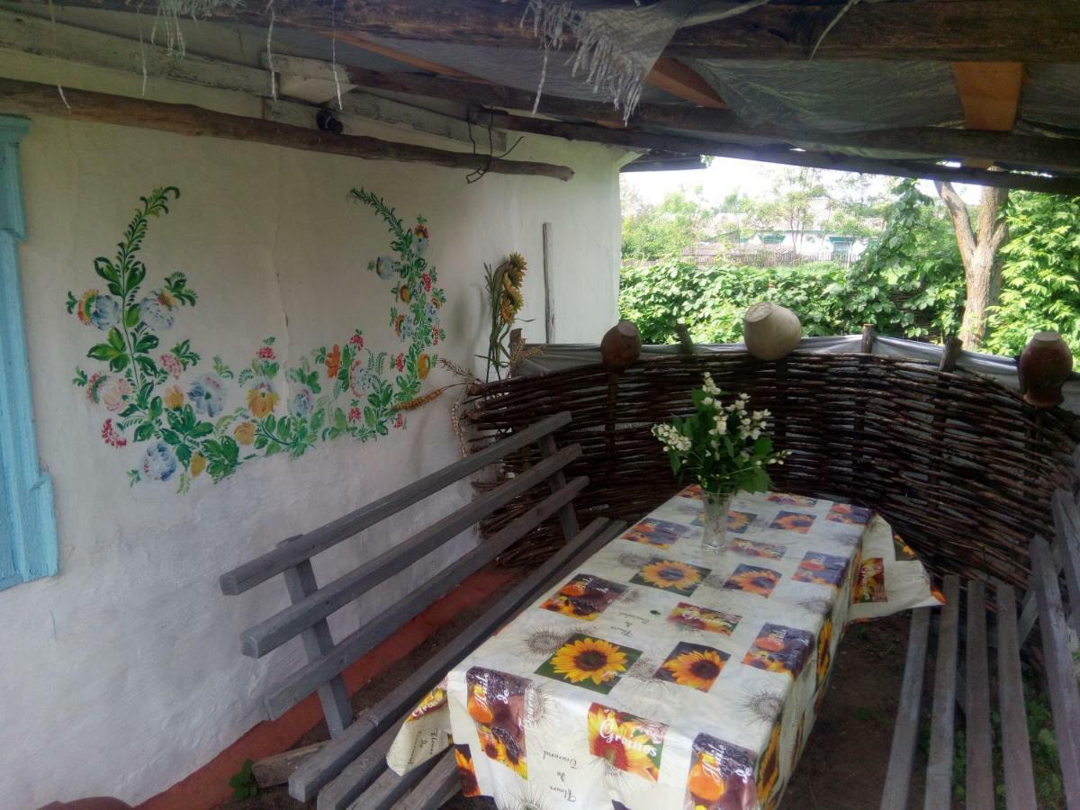 Holiday home Дибинецькі Карпати