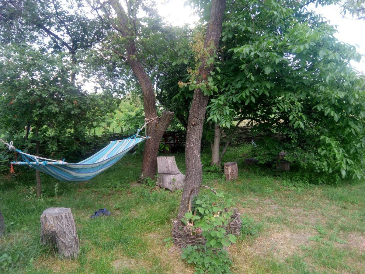 Дибинецькі Карпати Holiday home Dybintsy